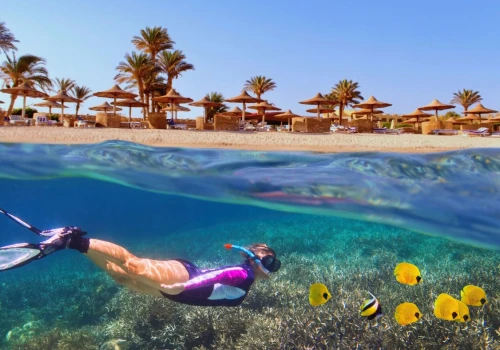Słoneczny grudzień nad Morzem Czerwonym ☀️🏖️ All inclusive w 4* hotelu w Marsa Alam za 2258 PLN 🐠🤿