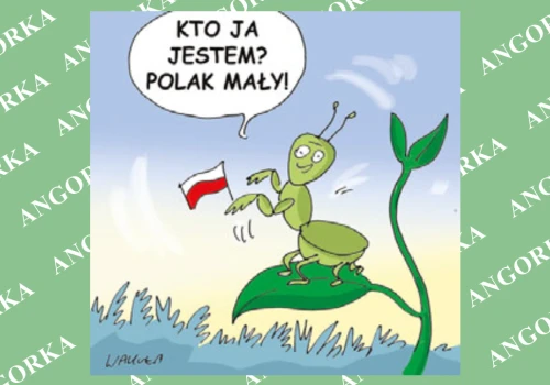 Modliszka podbija Polskę. Coraz łatwiej spotkać ją także nad Bałtykiem