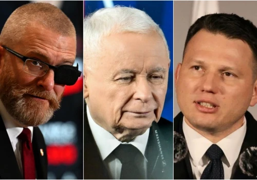 Alarm na Nowogrodzkiej. Konfederacja depcze PiS po piętach, Korona Brauna z dwucyfrowym wynikiem