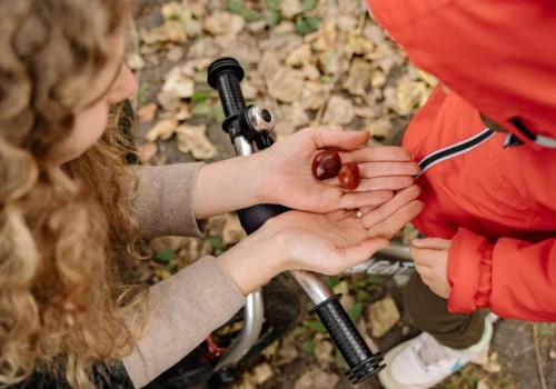 Dzieci znoszą je do domu całymi workami. Okazuje się, że kasztany są sporo warte