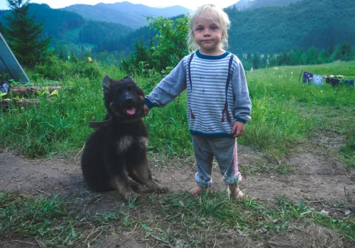 Pies w domu to zdrowsze dzieci? Naukowcy znaleźli dowody!
