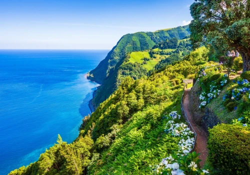 Wycieczka na Maderę za 969 PLN 🔥😮 Loty piątek – poniedziałek + ⭐⭐⭐ hotel (ze 🍴) nad oceanem 🌊