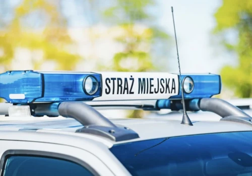 Straż miejska miała pilnować rogatek. Słabo wyszło