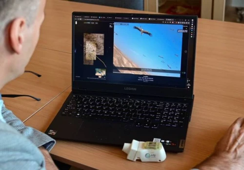 Świat z grzbietu bociana. Ponad 10 tysięcy zdjęć z migracji do Afryki
