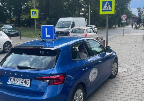Straszne szkoły jazdy w Polsce. Instruktorzy łamią prawo przy kursantach