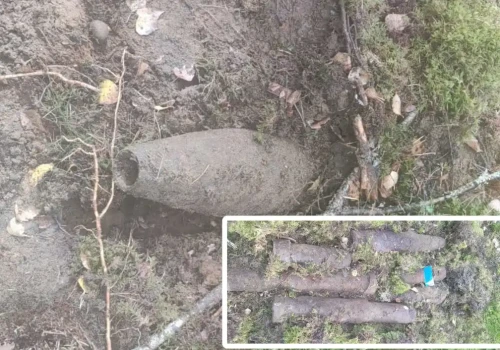 Niebezpieczne znalezisko z czasów II wojny światowej. Pociski i bomba w lasach koło Szczytna