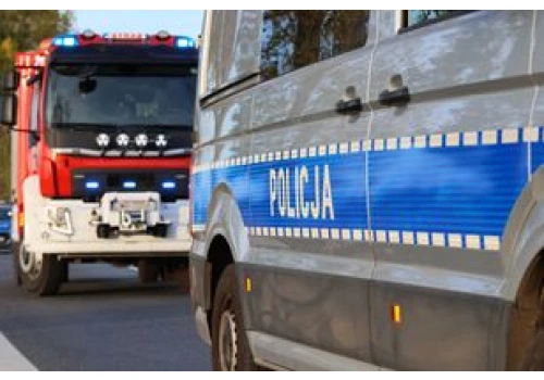 Wypadek na S7 w Głuchowie w gminie Grójec. Samochód osobowy uderzył w łosia. Jedna osoba została ranna. Zwierzę nie przeżyło.