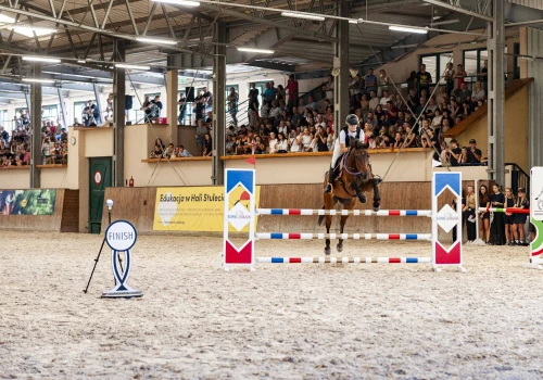 Bez ogłowia, za to z pełnym zaufaniem. Euro Equus 2026 na Partynicach