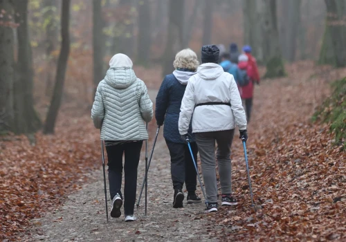 Wyliczyli, ile kroków trzeba robić. Zapomnij o 10 tys. Ekspert: Realny cel dla większości