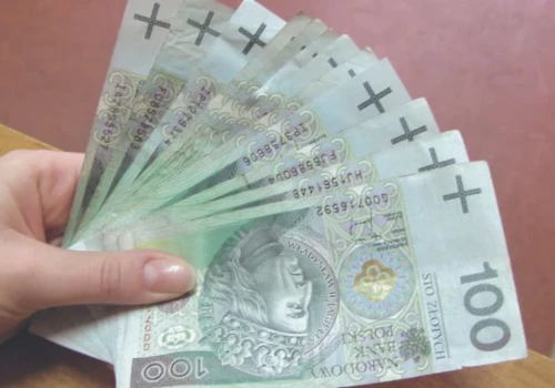 Jakie mają majątki i ile zarabiają wójtowie, burmistrzowie i ich zastępcy? Sprawdziliśmy oświadczenia