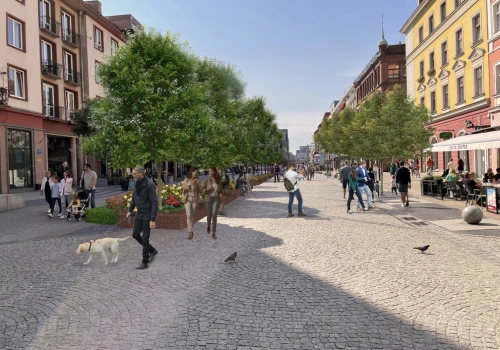 Nowa zieleń na Świdnickiej. Ponad 1,5 miliona złotych na drzewa i krzewy