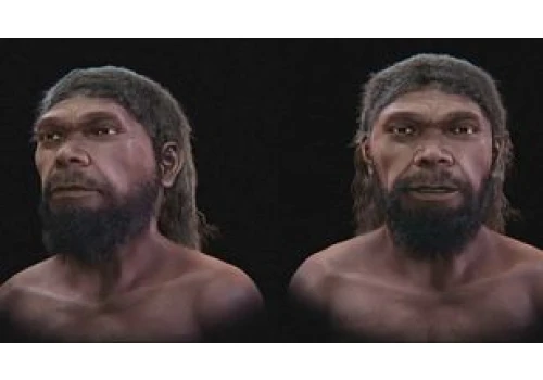 Tak wyglądał pierwszy Homo sapiens? Naukowcy odtworzyli jego twarz