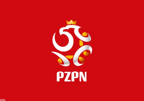 Kibice nie wytrzymali po meczu Polski. Gwizdy po bezbramkowym remisie