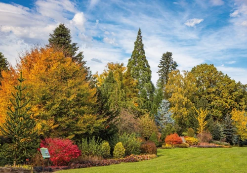 Arboretum Wojsławice niedaleko Wrocławia zaprasza w sobotę na niezłą imprezę