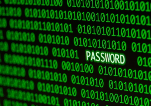 Szef CERT Polska o cyberbezpieczeństwie. „90% zaszyfrowanych backupów”