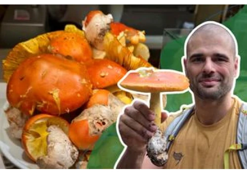 Kosztuje nawet 600 zł za kilogram. Polakowi udało się go znaleźć