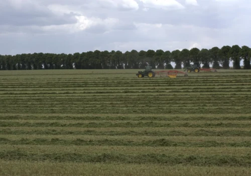 Właściciel sprzedaje dzierżawione pole. Kiedy dzierżawca może mieć prawo pierwokupu?