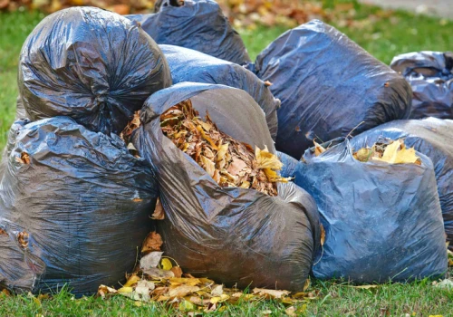 Liście odbiorą za darmo. Mieszkańcy dostaną 10 bezpłatnych worków