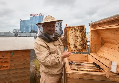 Trwa kiermasz naturalnych produktów w Galerii Rzeszów. Rzeszowskie Miodobranie w sercu miasta