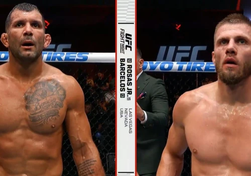 Polak zmierzył się z weteranem UFC. Sędziowie nie mieli wątpliwości