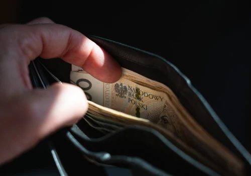 Tak Polacy próbują oszczędzać. Co 6. wybiera właśnie ten sposób