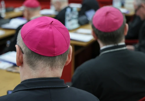 Litwa: biskupi inicjują badanie przestępstw w Kościele wobec małoletnich i osób bezbronnych
