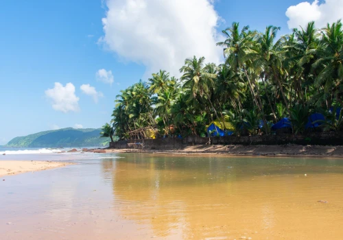 Egzotyka i tropiki zamiast szarugi! 🌴☀️ 11 nocy w Goa (ze śniadaniami) za 3465 PLN 🍴☕