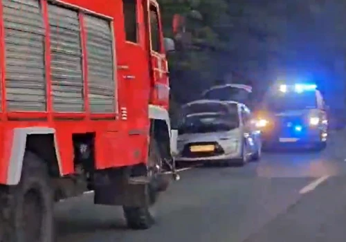 Zderzenie z dzikim zwierzęciem na drodze wojewódzkiej nr 747. Wprowadzono ruch wahadłowy