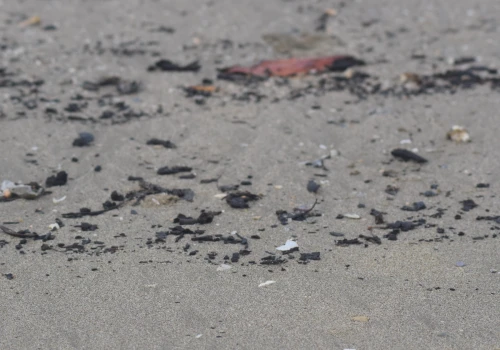 Czarna substancja na plaży nad Bałtykiem. Służby ustalą, czym jest
