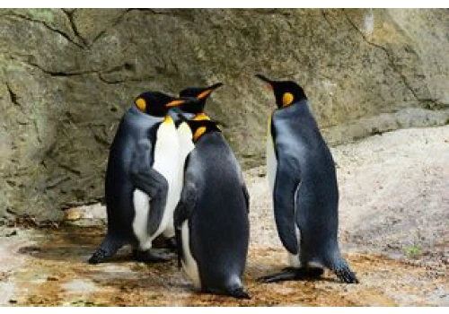 Linux, GRUB i UKI: kiedy pożegnamy się z bootloaderem?