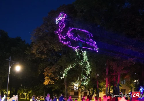 Światła, lasery i mnóstwo uśmiechów! Festiwal „Światło i dźwięk” w Strzegomiu