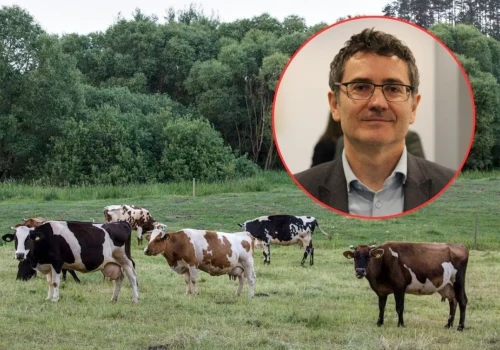 130 tys. rolników czeka na dopłaty za dobrostan. ARiMR mówi, kiedy wypłaci pieniądze