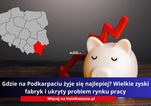 Gdzie na Podkarpaciu żyje się najlepiej? Wielkie zyski fabryk i ukryty problem rynku pracy