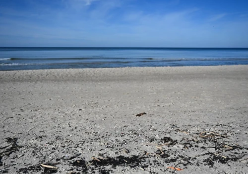 Bałtyk wyrzucił substancję ropopochodną na polskie plaże. 
