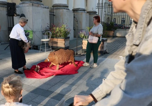 Protest w sprawie dzików w Warszawie zakłócony. Interweniowała policja
