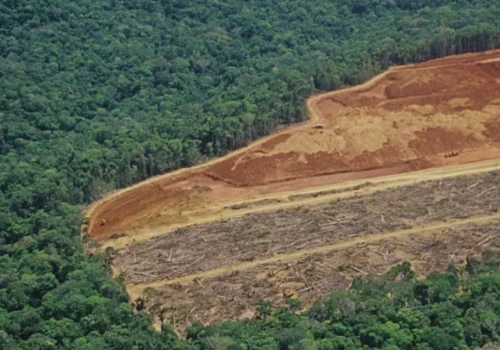 Deforestacja brazylijskiej Amazonii rekordowo niska. To dobra wiadomość dla klimatu