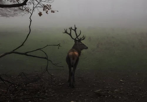 Przyroda, fotografia, sztuka, konkursy: V Narwiański Festiwal Przyrodniczy