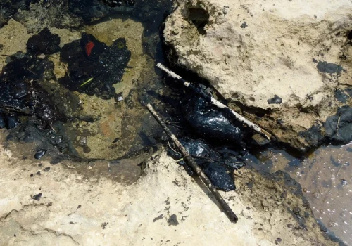Podjęto ważny krok nad polskim morzem. Tutaj turyści nie wejdą na plaże