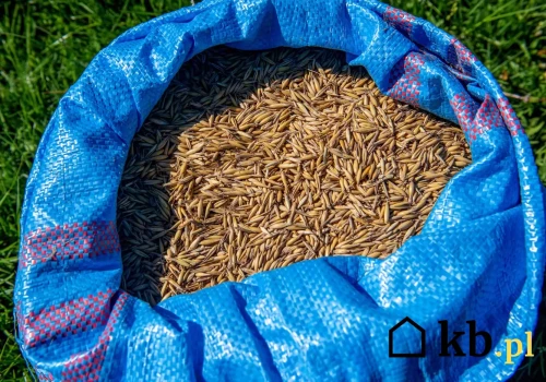 Pellet kosztuje ponad 2000 zł za tonę. Ten zamiennik można kupić już za 500–800 zł