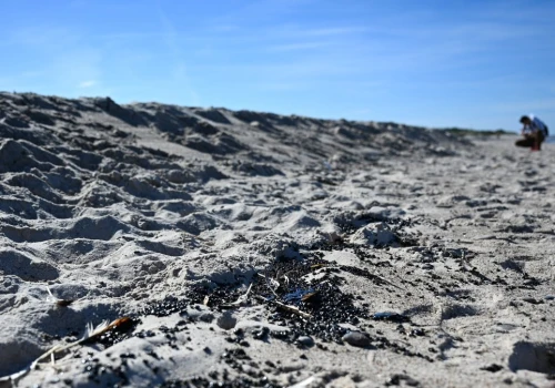 Dziwne czarne grudki nad Bałtykiem. Plaże w Ustce zamknięte do odwołania