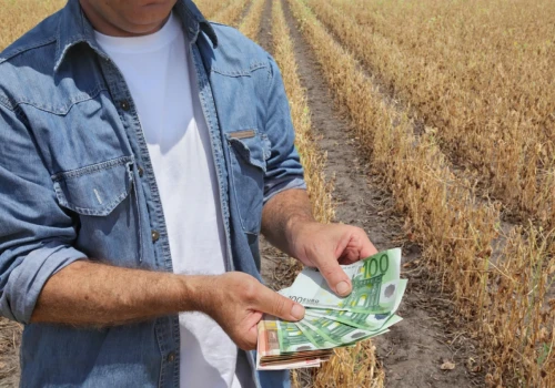 Budżet tego programu to 400 mln zł. Wnioski od 1 października mogą składać rolnicy i spółdzielnie