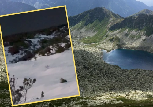 Zauważyli go w pobliżu szlaku. 