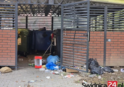 Bomba ekologiczna w centrum Świdnicy. Co robi, a raczej czego nie robi, miasto jako właściciel wiaty