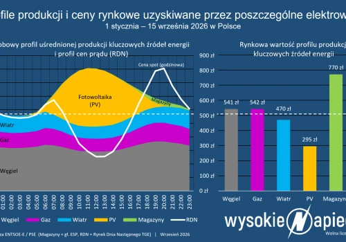 Właściciele fotowoltaiki oddają zyski, których nie mają. Rynek zastąpi ustawę?