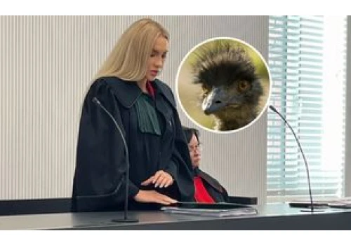 Wyrok za zabicie strusia uchylony. Powodem orzekający 