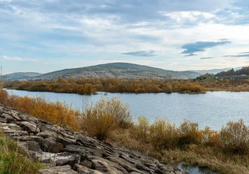 Polskie jezioro znika w oczach. Odsłania stare drogi, drzewa i krzewy