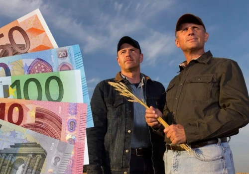 Dopłaty bezpośrednie 2026: znamy kurs euro. Rolnicy mogą dostać wyższe stawki