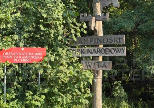 Funkcjonariusz Straży Parku Kampinoskiego Parku Narodowego oddał strzał do auta. Jest oficjalne oświadczenie
