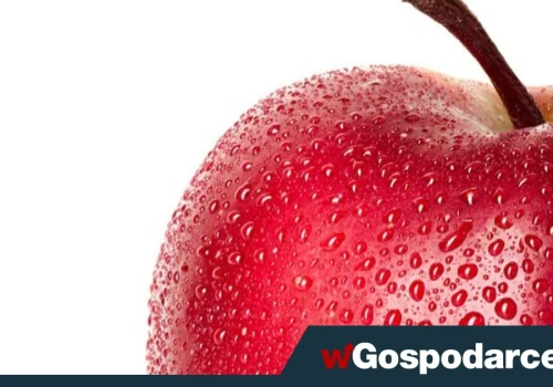 Wyższa opłata cukrowa zabije polskie sady