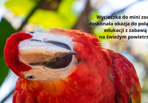 Jak zorganizować wycieczkę do mini zoo z dzieckiem